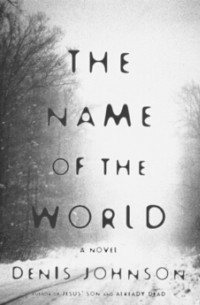 Denis Johnson - The Name of the World