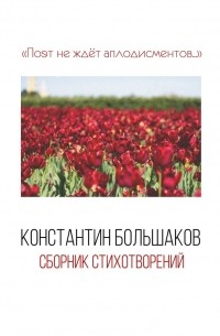 Константин Большаков - Поэт не ждёт аплодисментов… Сборник стихотворений