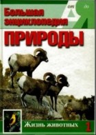 Эккарт Потт - Большая энциклопедия природы. Жизнь животных. А-И