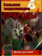 А. Шабанов - Большая энциклопедия природы. Жизнь растений. Травянистые растения