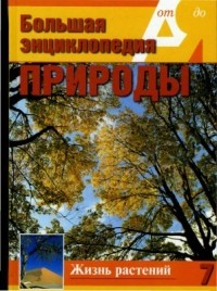 А. Перминов - Большая энциклопедия природы. Жизнь растений. Деревья и кустарники