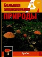 С. Н. Бердышев - Большая энциклопедия природы. Грибы