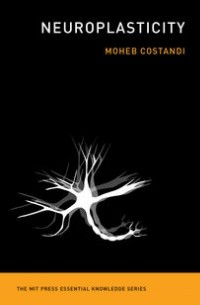 Neuroplasticity
