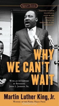 Мартин Лютер Кинг - Why We Can't Wait