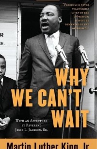 Мартин Лютер Кинг - Why We Can't Wait
