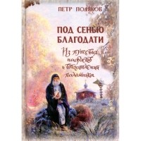 Священник Петр Поляков - Под сенью благодати