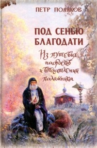 Священник Петр Поляков - Под сенью благодати