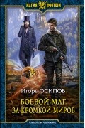 Боевой маг. За кромкой миров
