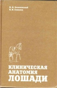  - Клиническая анатомия лошади