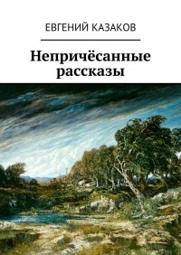 Евгений Николаевич Казаков - Непричёсанные рассказы
