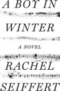 Rachel Seiffert - A Boy in Winter