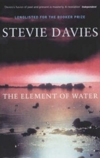 Стиви Дэвис - The Element Of Water