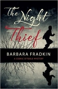 Барбара Фрадкин - The Night Thief