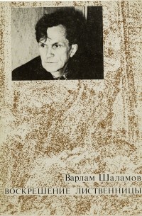 Воскрешение лиственницы