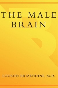 Женский мозг