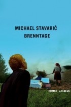 Michael Stavaric - Brenntage