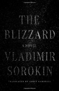 Vladimir Sorokin - The Blizzard