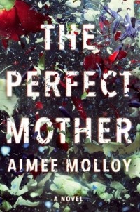 Aimee Molloy - The Perfect Mother