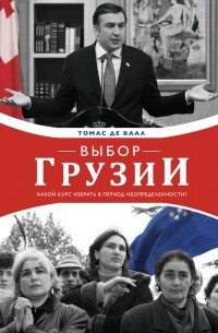 Томас де Ваал - Выбор Грузии: какой курс избрать в период неопределенности?