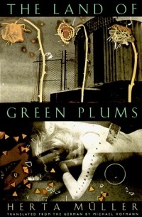 The Land of Green Plums