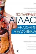 Л. Н. Палычева - Популярный атлас анатомии человека