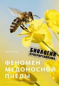 Юрген Тауц - Феномен медоносной пчелы. Биология суперорганизма