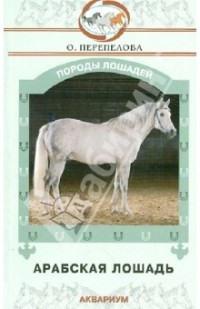 Ольга Перепелова - Арабская лошадь
