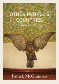 Патрик МакГиннесс - Other People's Countries: A Journey into Memory