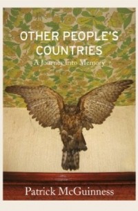 Патрик МакГиннесс - Other People's Countries: A Journey into Memory