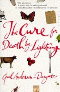 Гейл Андерсон-Даргац - The Cure for Death by Lightning