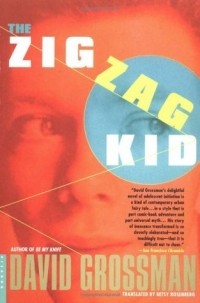 David Grossman - The Zigzag Kid
