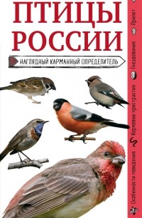 Ксения Митителло - Птицы России. Наглядный карманный определитель
