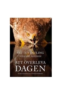 Брутус Остлинг - Att överleva dagen : om fåglars sinnen och anpassningsförmåga