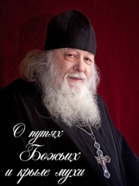 протоиерей Валериан Кречетов - О путях Божьих и крыле мухи