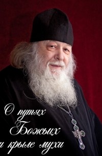 протоиерей Валериан Кречетов - О путях Божьих и крыле мухи