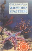 Борис Завадовский - Животное и растение. Маленькое введение в науку о жизни