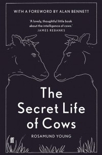 The Secret Life of Cows