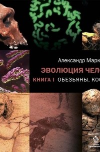 Обезьяны, кости и гены