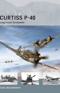 Carl Molesworth - Curtiss P-40: Long-nosed Tomahawks