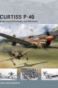 Carl Molesworth - Curtiss P-40: Snub-nosed Kittyhawks and Warhawks