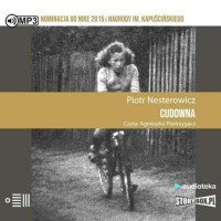 Пётр Нестерович - Cudowna (audiobook)