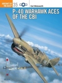Carl Molesworth - P-40 Warhawk Aces of the CBI