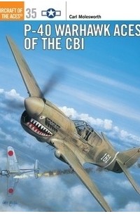 Carl Molesworth - P-40 Warhawk Aces of the CBI