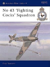 Andy Saunders - No 43 ‘Fighting Cocks’ Squadron