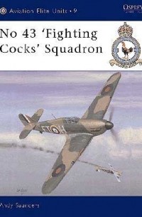 Andy Saunders - No 43 ‘Fighting Cocks’ Squadron