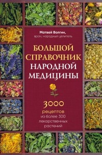 Большой справочник народной медицины. 3000 рецептов из более 300 лекарственных растений