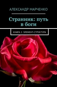 Странник: путь в боги. Книга 2: элемент-структура