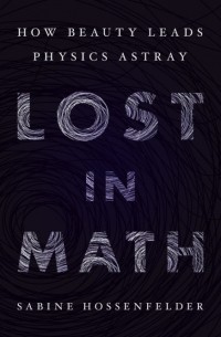 Сабина Хоссенфельдер - Lost in Math: How Beauty Leads Physics Astray