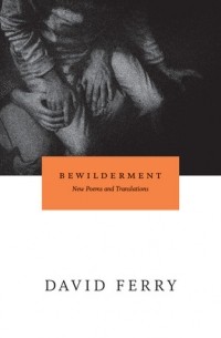 Дэвид Ферри - Bewilderment: New Poems and Translations