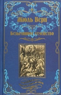 Ж. Верн - Безымянное семейство